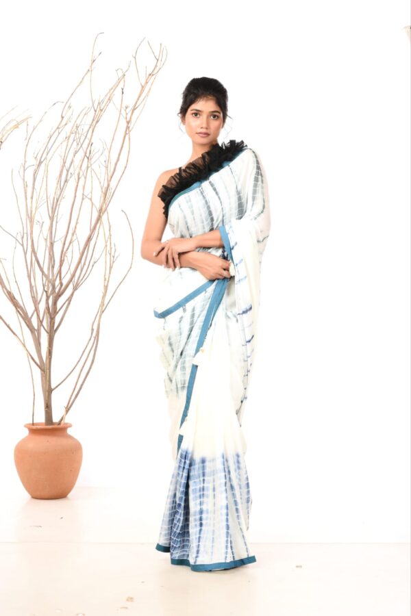 A story of sublimity (saree)